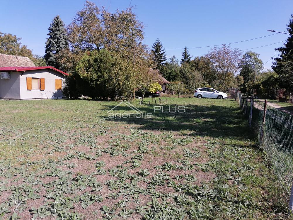 Jabukov cvet - Banatski Brestovac ID#1163 41.000 €